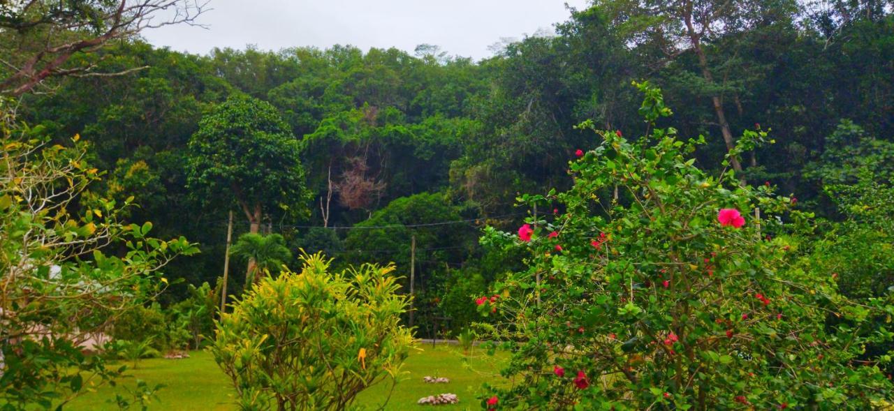 Dan Zoranz Self Catering Guest House La Digue Exterior photo