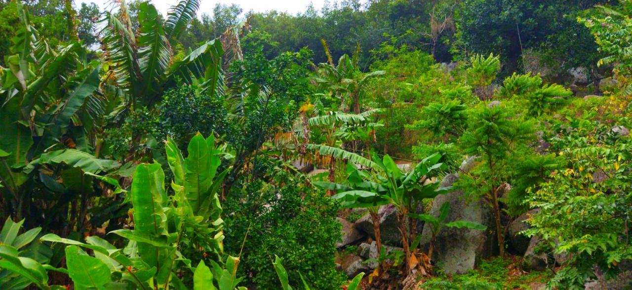 Dan Zoranz Self Catering Guest House La Digue Exterior photo